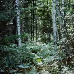 1976 East Coast Trip - Set 6